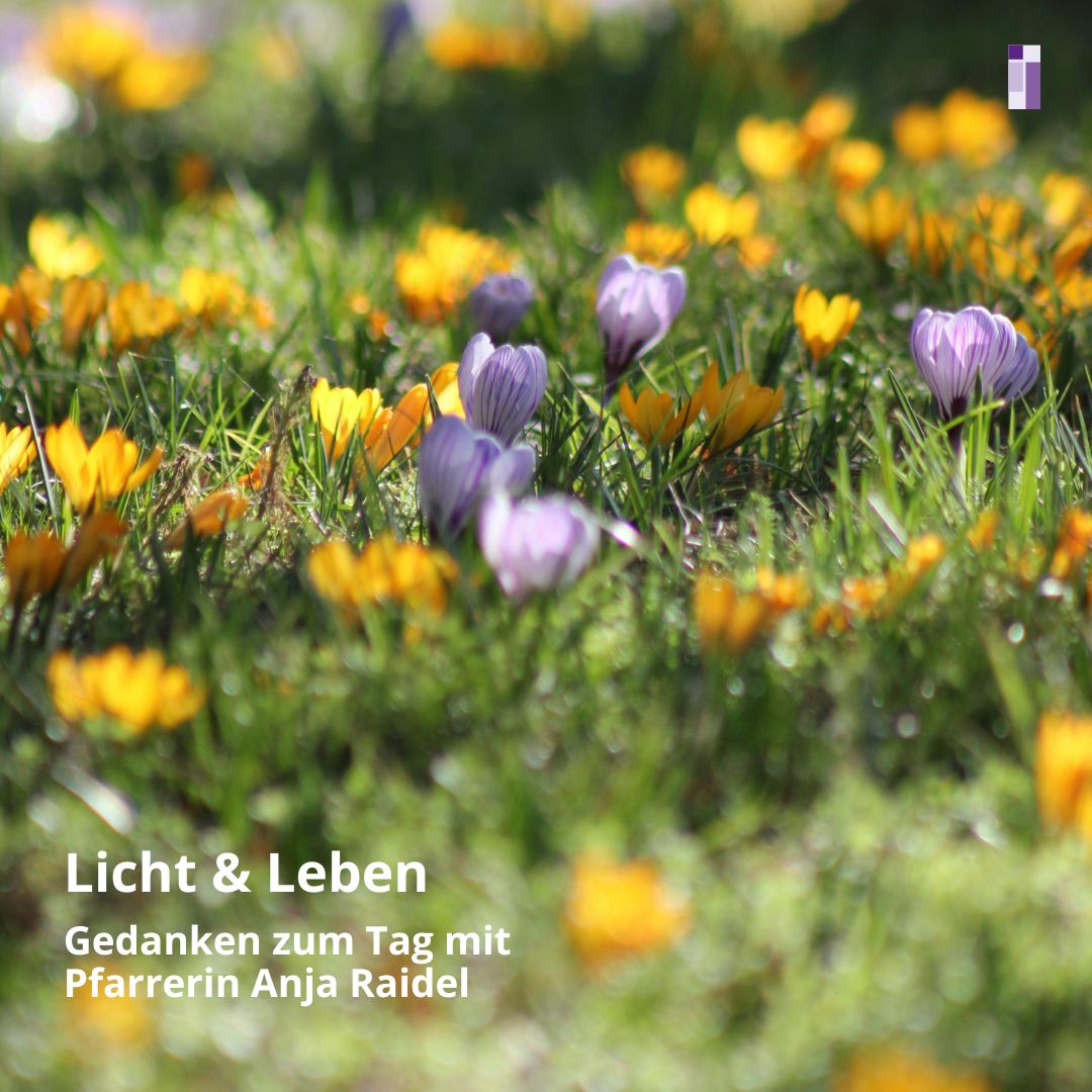 Gedanken zum Tag für die Woche 13.-19.04.2026