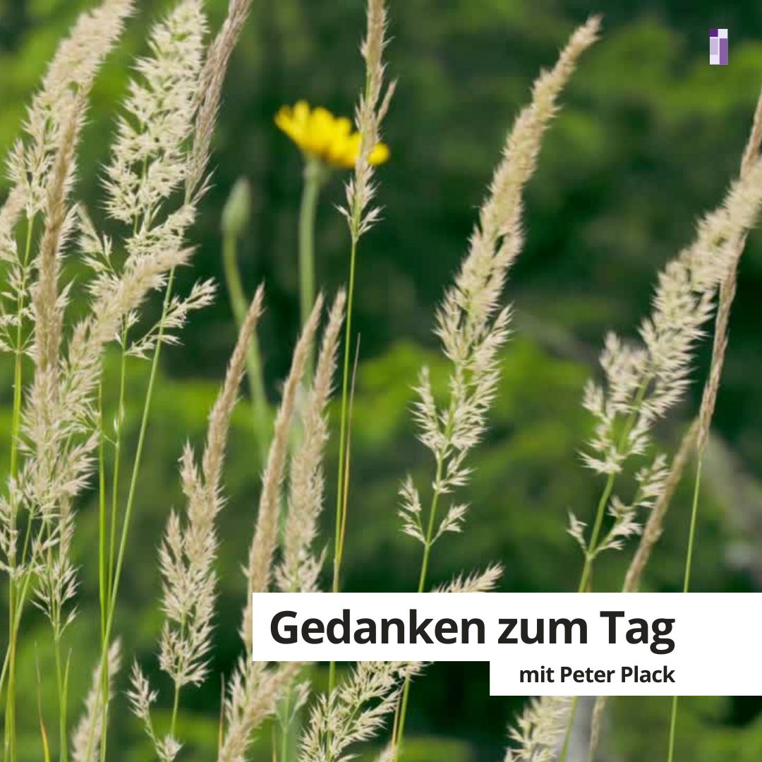 Gedanken zum Tag für die Woche 17.-23.08.2026