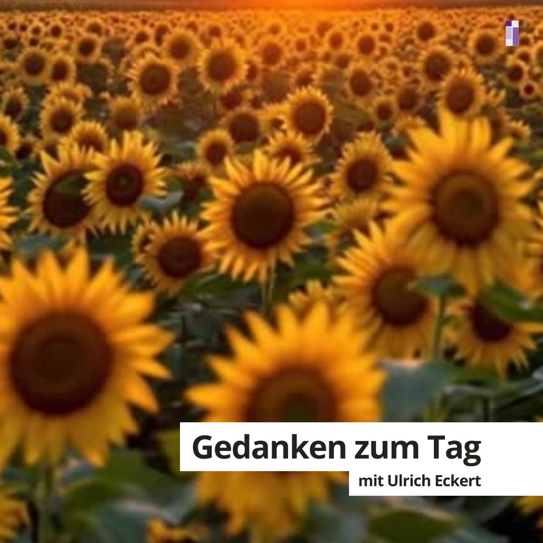Gedanken zum Tag für die Woche 20.-26.07.2026